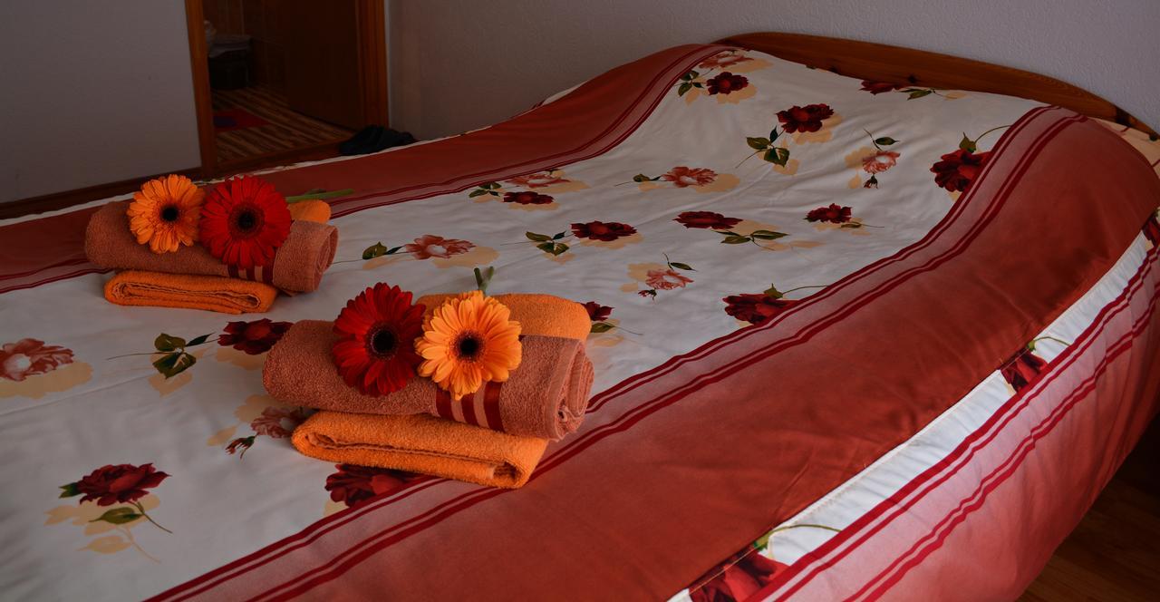 Apartment Lotika